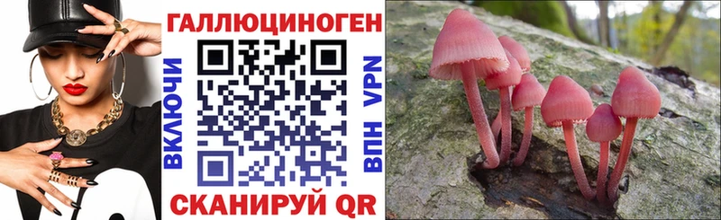 Псилоцибиновые грибы Psilocybe  купить наркотики цена  Мелеуз 