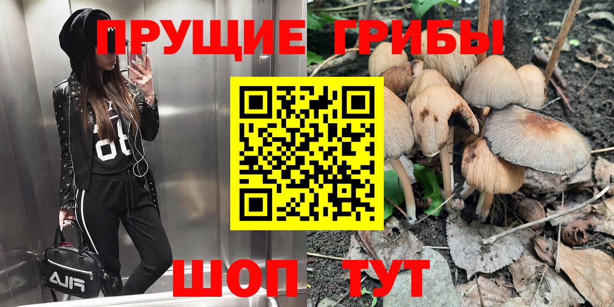 Галлюциногенные грибы прущие грибы Мелеуз